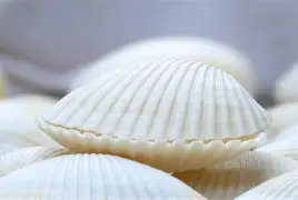 贝林厄姆重伤倒地，维尼修斯全队围拢祈祷，场面感人的简单介绍